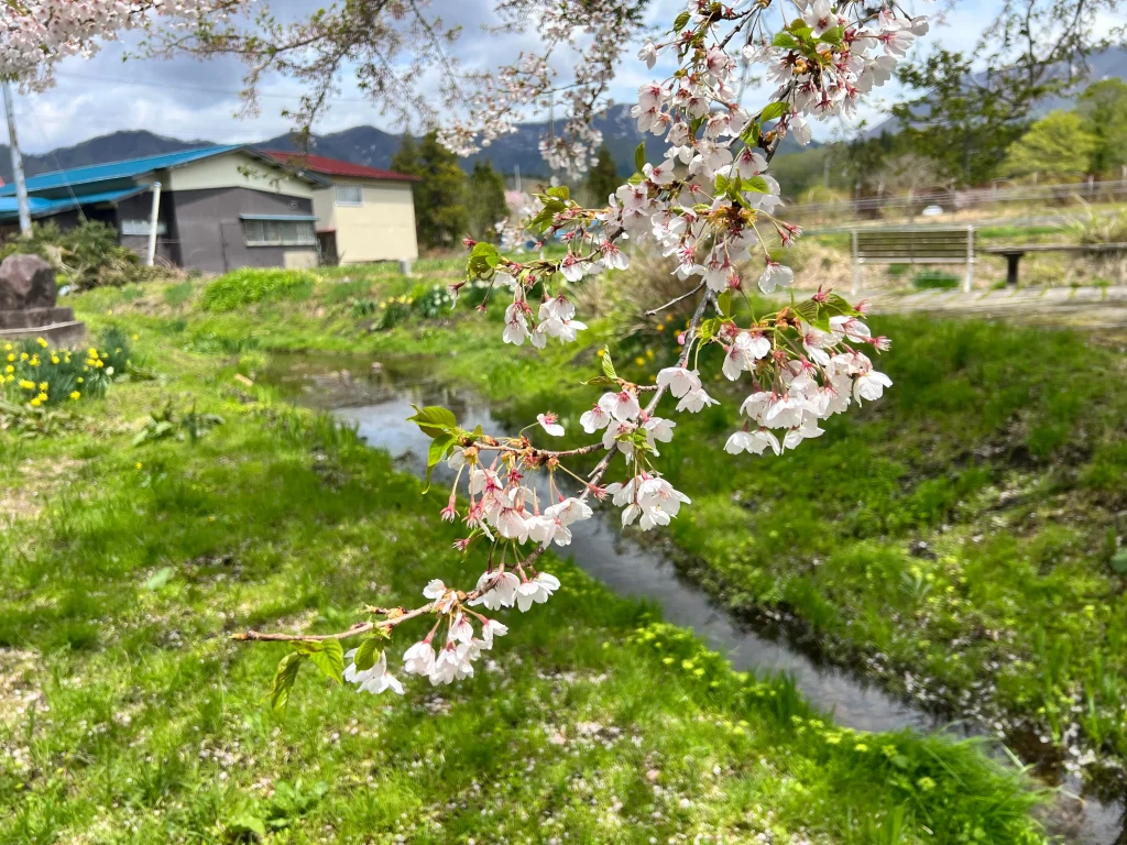 堺田分水嶺から太平洋へ　写真